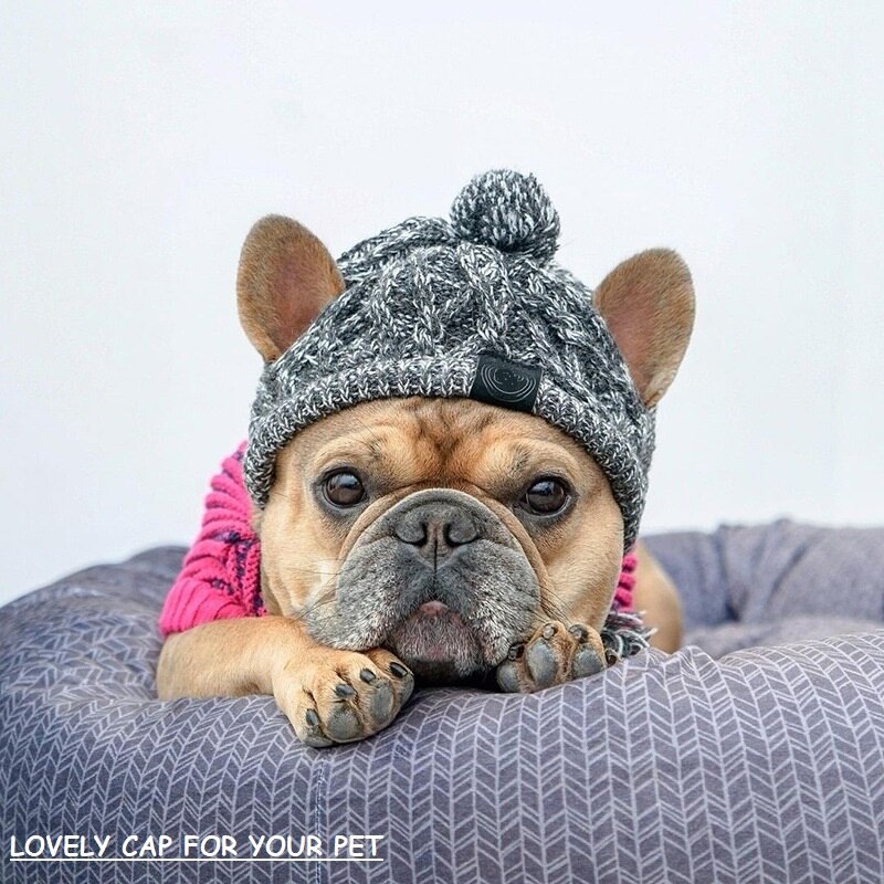 Lovely Dog Hats Pet Winter Warm Caps Windproof Knitting Cap French Bulldog Hat Pet Products Pet Cool Caps