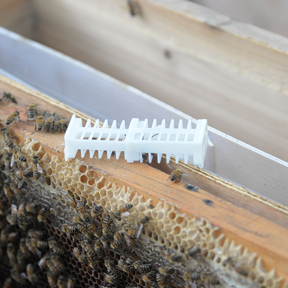 5 stk multifunktionelt kongebur dronning opdræt bibure plastbier celler værelse rum celle kopper kop biavler værktøj salg
