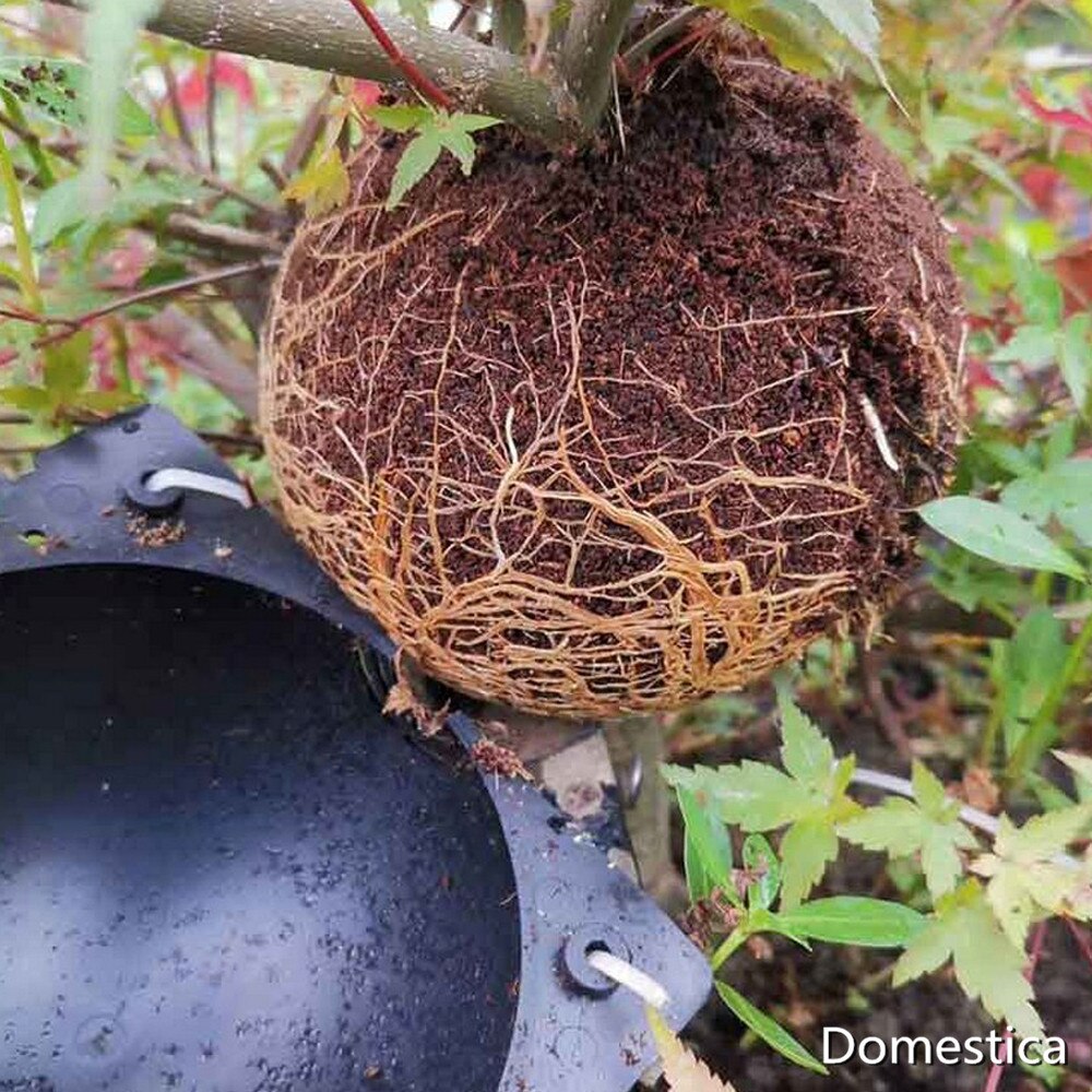 Plant High-Pressure Box Cutting Box Grafting Device Garden Trees Branch Rooting Propagation Ball Tree Seedling Root Controller