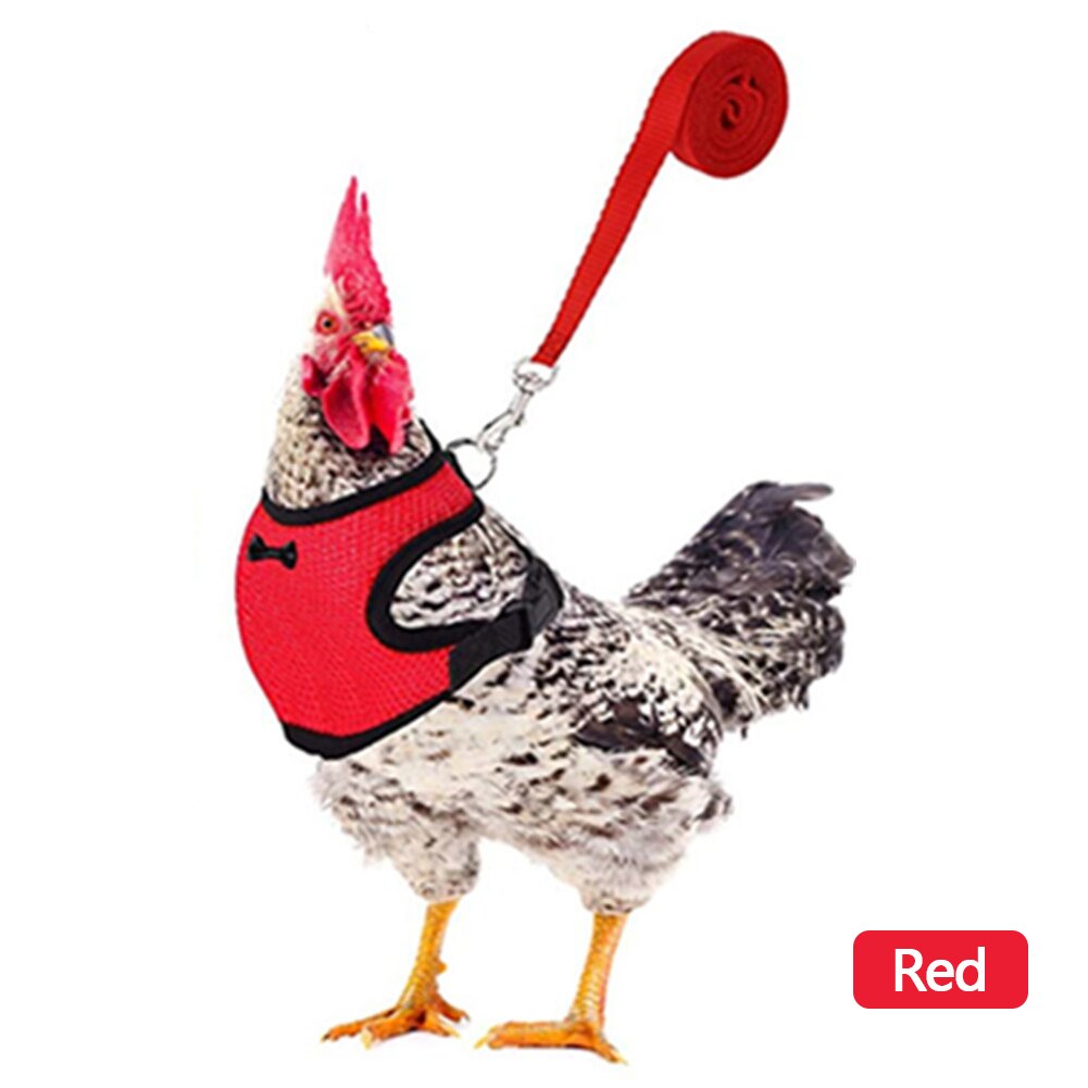 Breathable Mesh Chicken Duck Vest Leashes Poultry Hen Pet Harness With Matching Training for Walking Duck Goose Hen Rooster: Red-S
