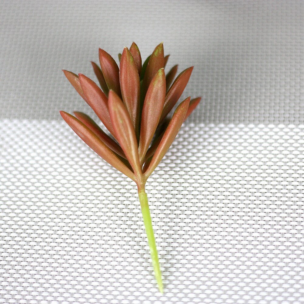 Kunstmatige Plastic Vetplant Cactus Echeveria Bloem Thuis Bureau Decor Kunstplanten Kunstplanten C30306