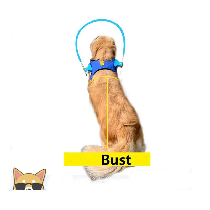 Stappen Blind Pet Anti-Collision Ring Schorpioen Cataract Dier Bescherming Cirkel Gids Hond Harnas Voor Kleine Puppy Honden S