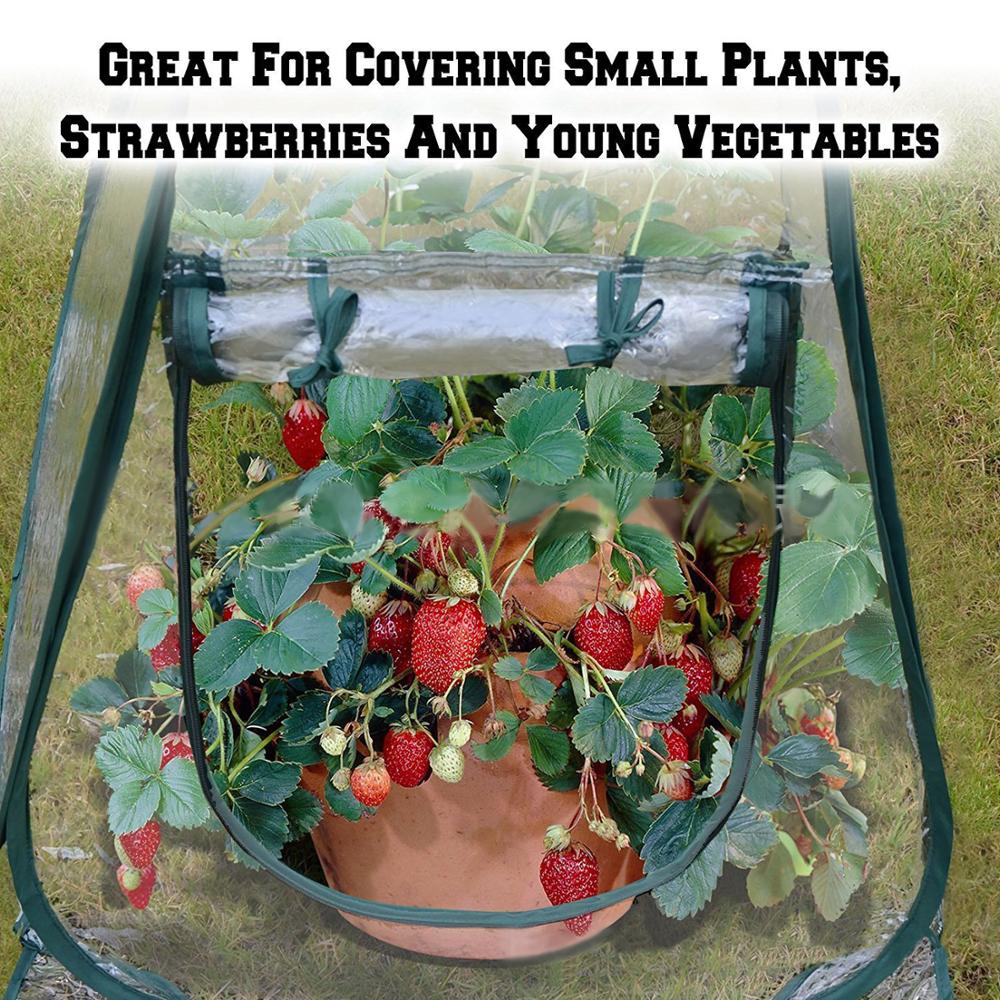 100% Pure Worm Castings Plus Worm Egg Material, 40lbs - Amazon