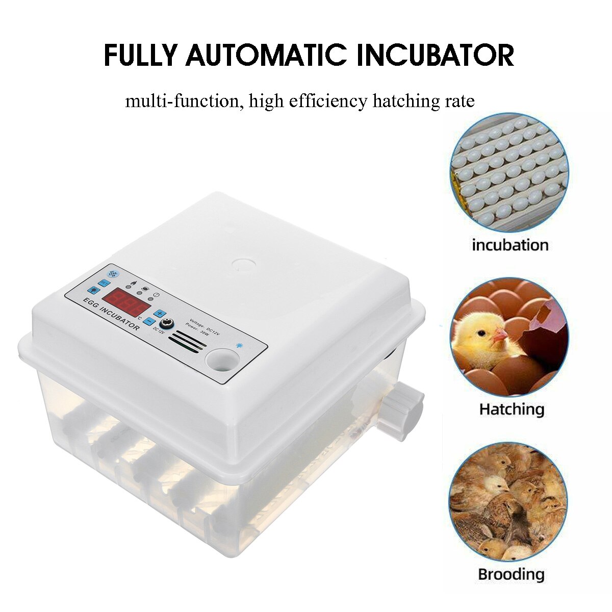16eggs Poultry Hatchery Machine Hatching Mini Brooder Small Chicken Bird Egg Hatchers Incubator for Quail Parrot Duck 110-220V