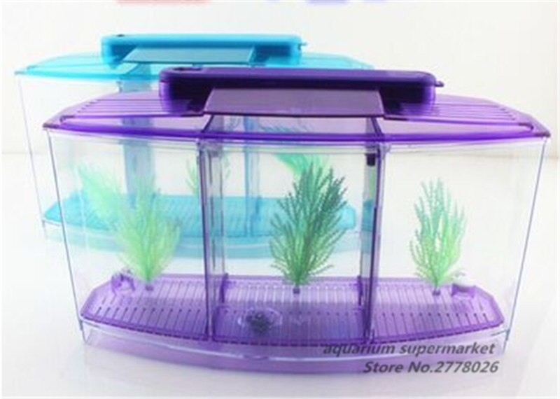 HONGYI-boîte d'élevage Guppy bébé | Poisson, séparation nœud de poisson, Aquarium, petite boîte d'élevage