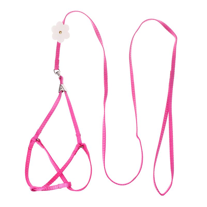 Arnés para mascotas, correa para loro, pájaro, periquito, correa ajustable para exteriores, correa de entrenamiento, correa cruzada voladora, producto de colores suaves: Rosa