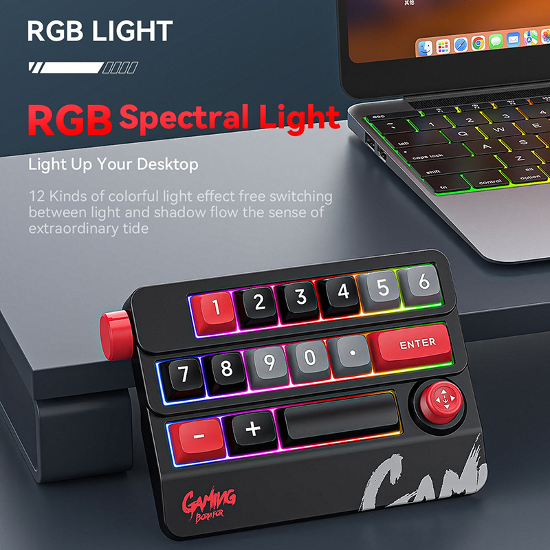Mechanical Keypad 19 Key Macro Programmable Fully Swappable Mechanical Switch 12 Color RGB Light Gaming Mini Keyboard