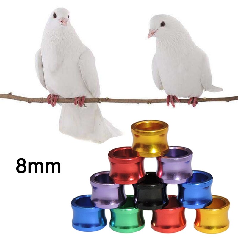 100 Stück Vogel-Fußringe Aus Aluminium/Kunststoff Für 2026 – 8 Mm Ringe Zur Identifikation