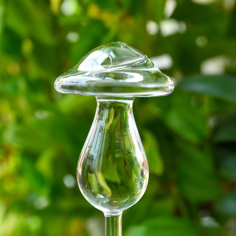 Pvc/glas självbevattningsanordningar växt blommor vattnare fågelstjärna hjärta vattenmatare automatisk vattning för inomhusträdgård: Svamp