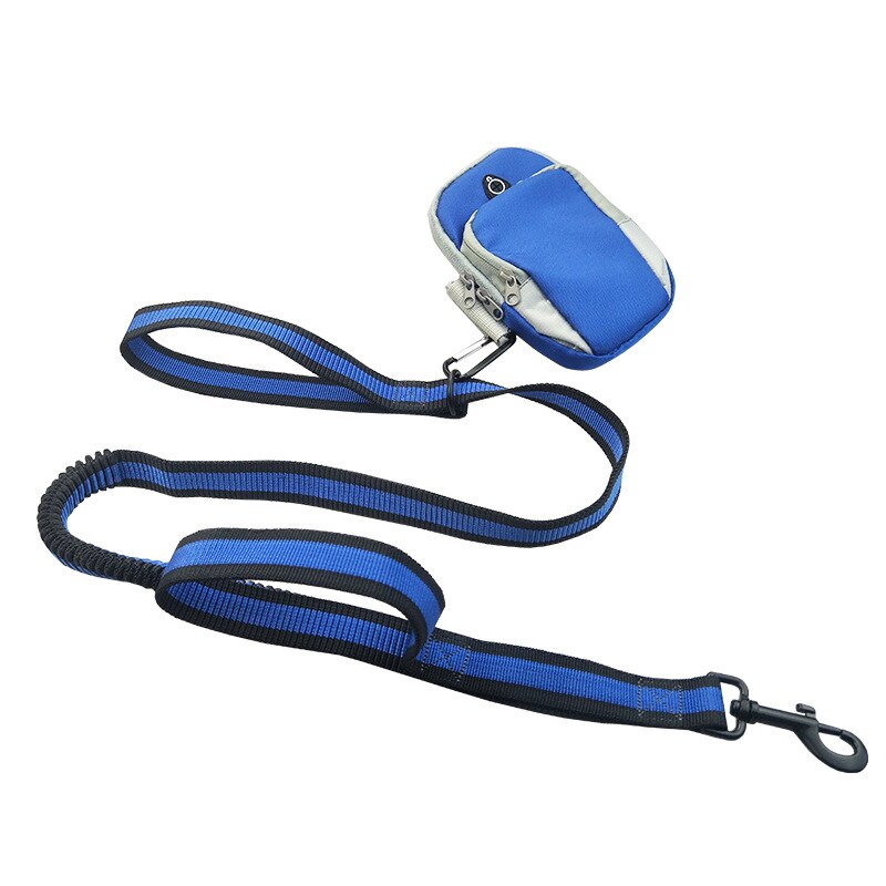 PUGGA Retractable Dog Leash with Arm Bag Flexi Medium Large Dogs Traction Rope Automatic Extending Walking Dog Leashes: Blue