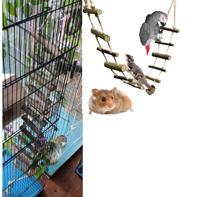 Curated visual reference: Parrot Swing Ladder Toys Rope Net With Buckles Pet Photo Inspiration