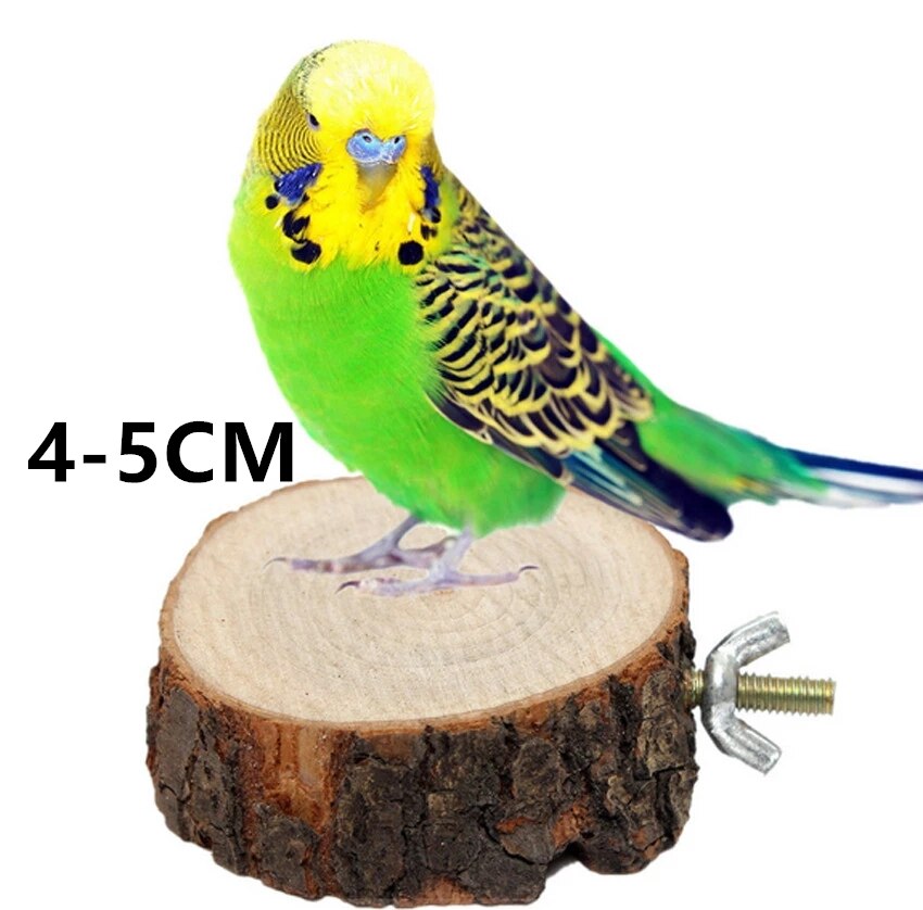 Bird Perch Stands Sturdy Round Perches For Aviaries photo