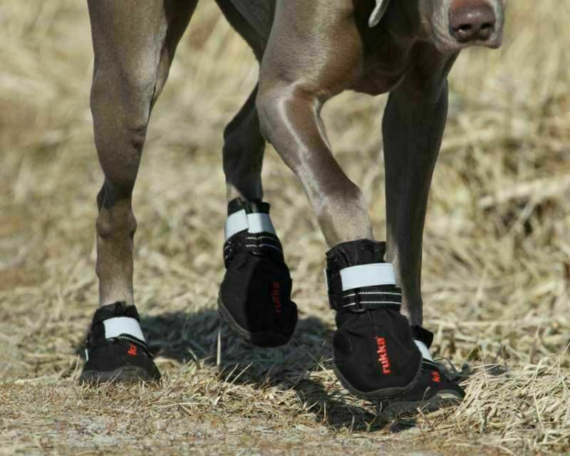 Rukka kæledyr proff hund udendørs sko sort størrelse 8
