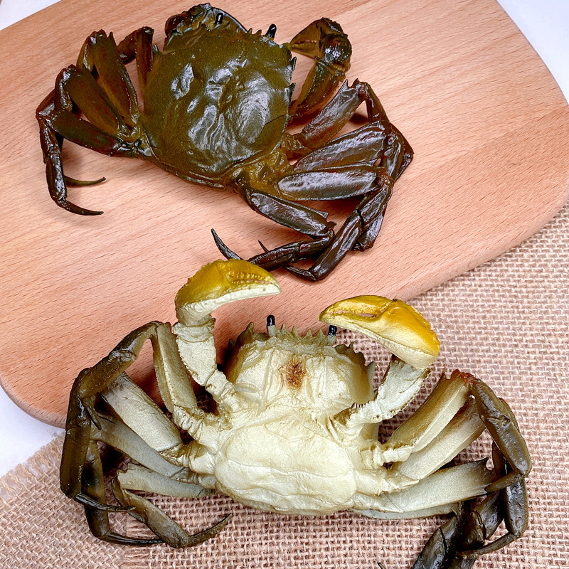 Simulation Hairy Crab Model Male Crab Female Crab Crab Model Hairy Crab Mold Props Simulation Food