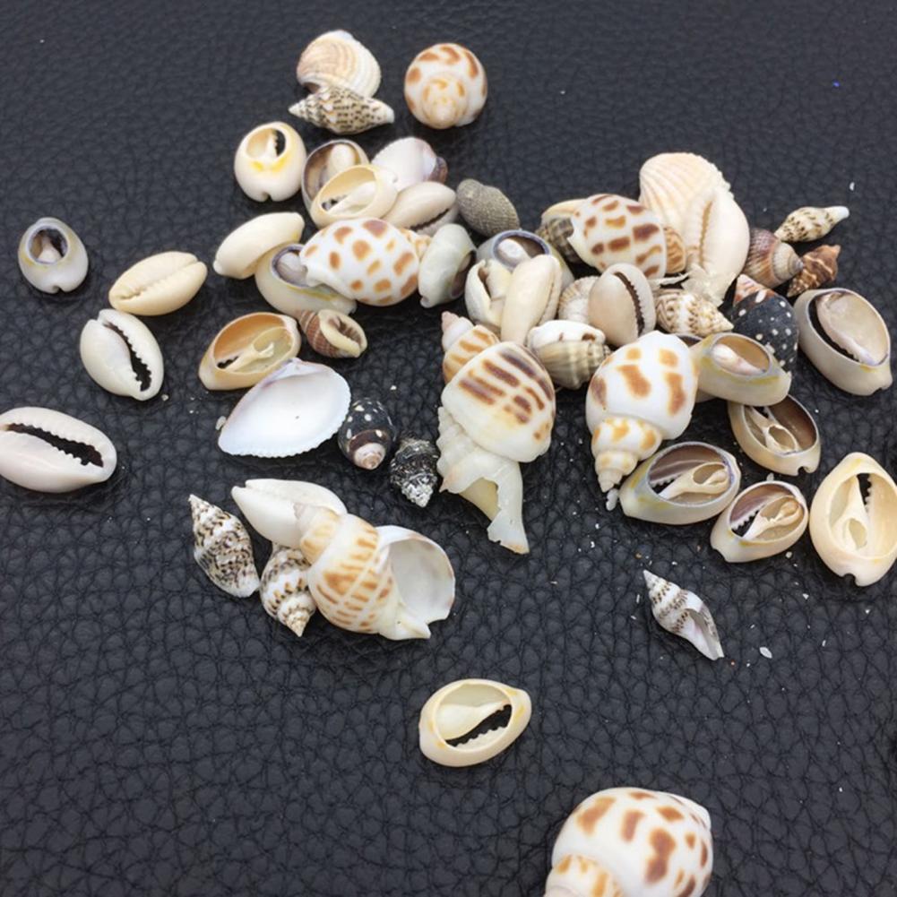 1 Bag Artifical Sea Shell Conch Coquillage Beach Decor Craft DIY Marine Style Fish Tank Seashells Cream Glue Epoxy Accessories
