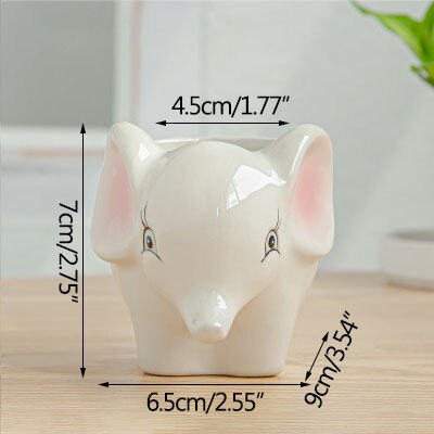 Home Decor Cartoon Flower Pot Simplicity Cute Cartoon Succulent Flower Pot Home Gardening Succulent Potted Plants Pots: 4