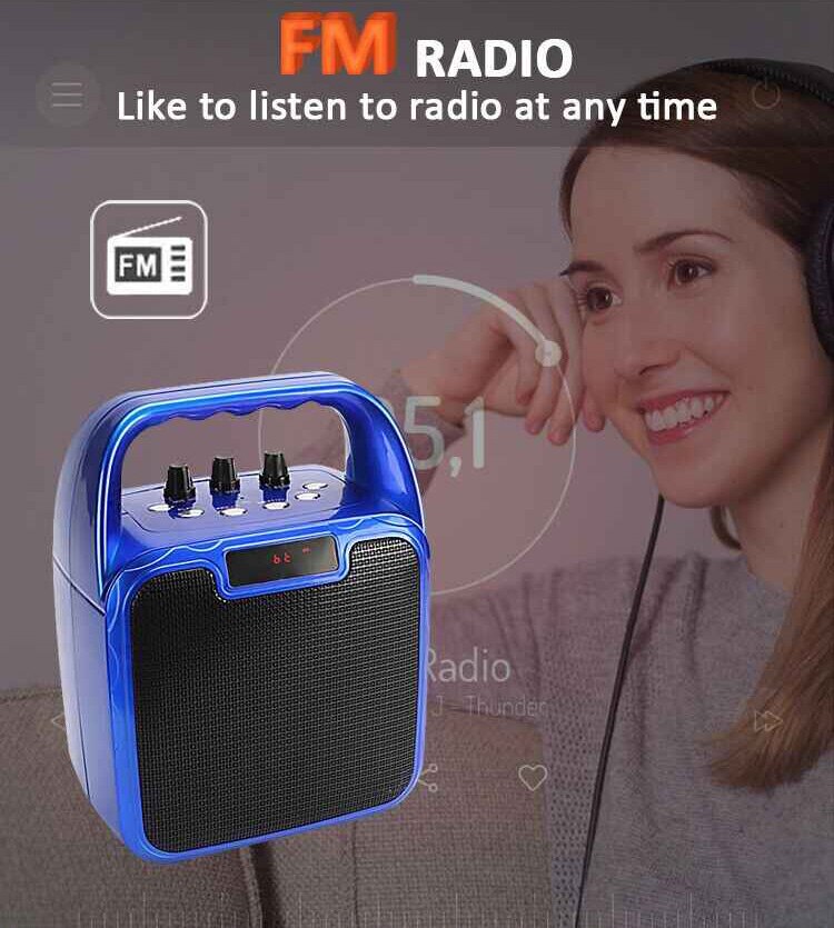 Karaoke Speaker - 10W Output Power - Bluetooth 5.0+EDR - Portable Audio with Wired Microphone