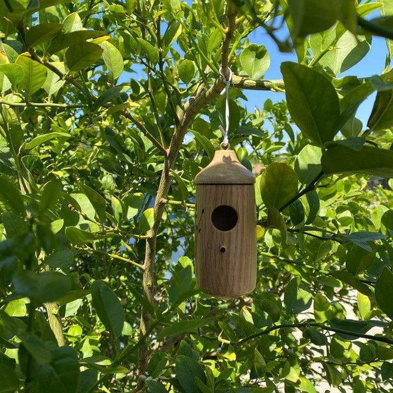 Mode Buiten Houten Hummingbird Huis Opknoping Swing Hummingbird Voor Winterkoninkje Swallow Sparrow Huizen Hummingbird