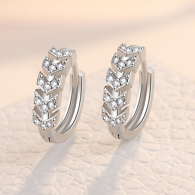 Karopel Mode 925 Sterling Zilveren Oorbel Kristallen Voor Vrouwen Korea Zilveren Sieraden Vrouwelijke