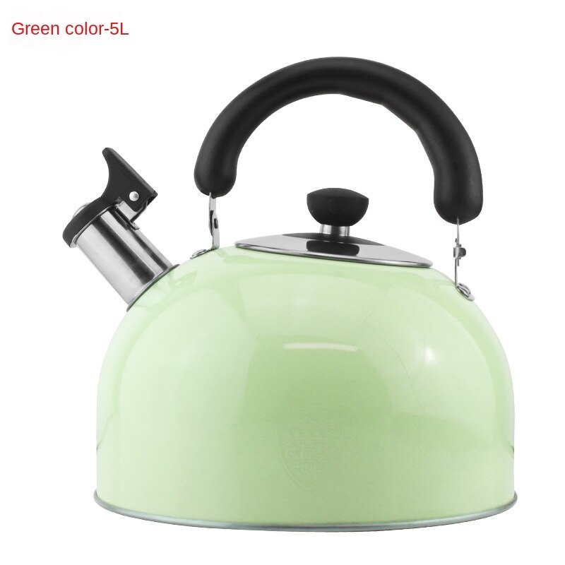 304 Roestvrijstalen Ketel Voor Gasfornuis En Inductie Fornuis Grote Capaciteit Fluitje Ketel Water Fles Keuken Benodigdheden LD614: green 5L