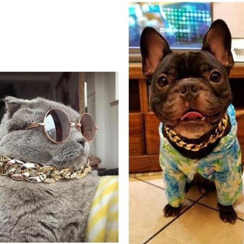 Cadena de oro para perro y gato, Collar ajustable para fotos, accesorios para perros pequeños, cachorros y gatitos, suministros para mascotas, 1 unidad