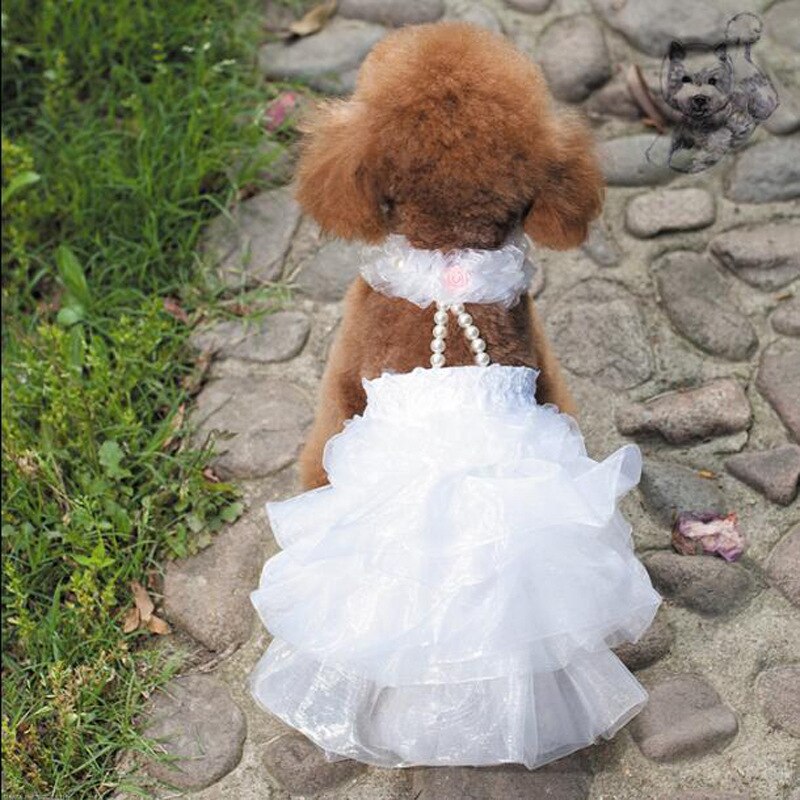 Robe de mariage pour animaux | Robe avec jupe pour animaux, vêtements d'été, motif chien, style pomerien, Schnauzer, caniche, Bichon