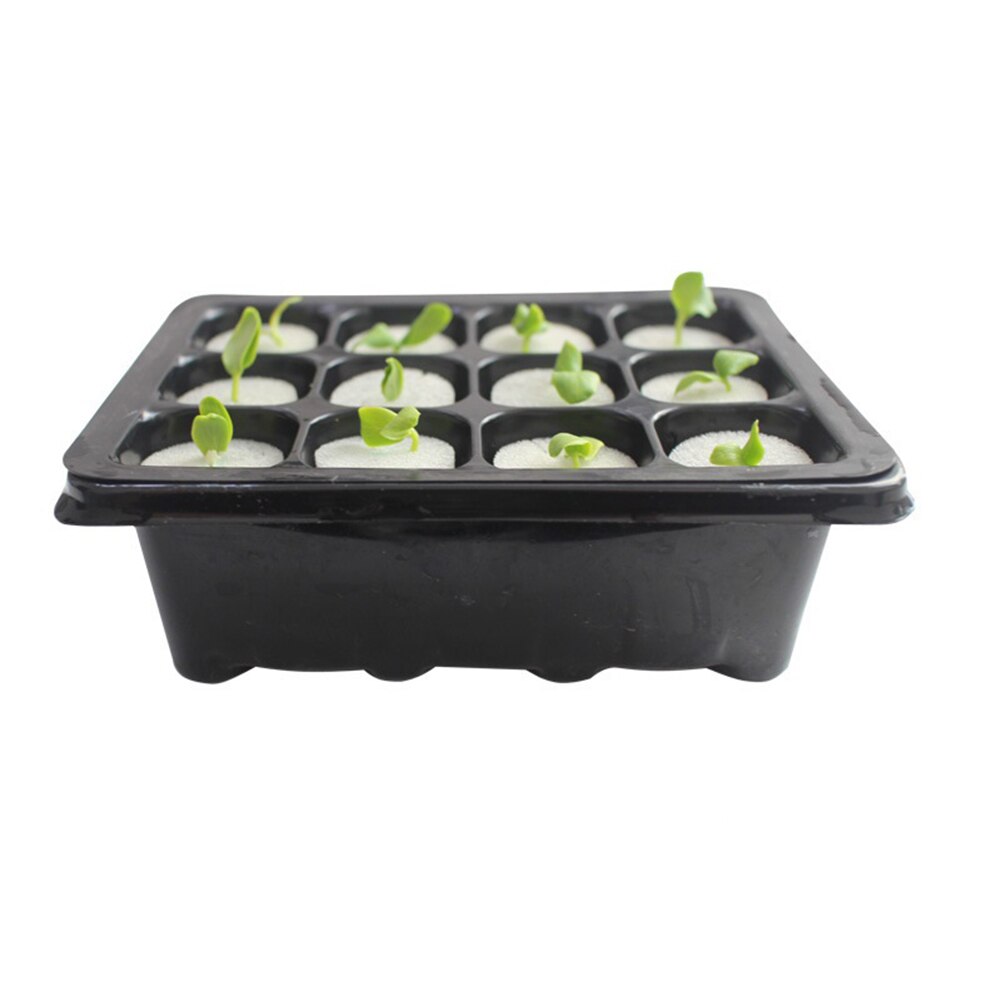 12 Hole Tray Sowing Insulation Breeding Box +Planting Sponge Cloning Equipment 1*Trays 24*Planting Sponge