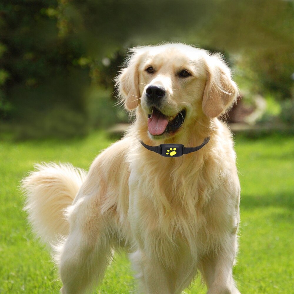 Z8-Een Huisdier Tracker Gps Hond/Kat Kraag Waterbestendig Usb Opladen