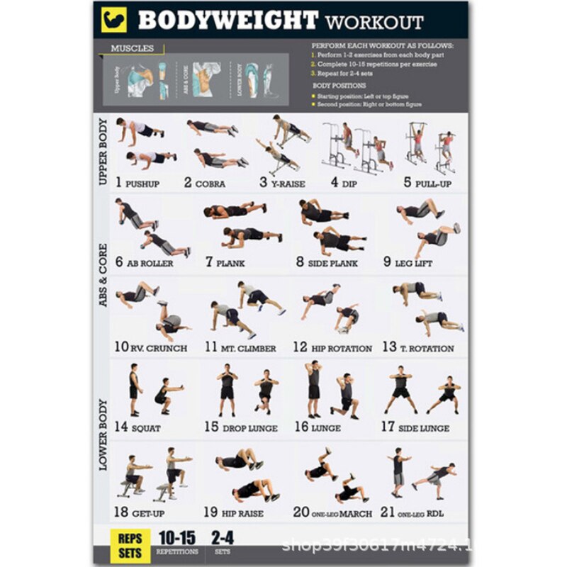 Bodyweight Exercise Poster Set Laminated 2 Chart Set Men and Women Body Weight Workouts for Home GYM Fitness