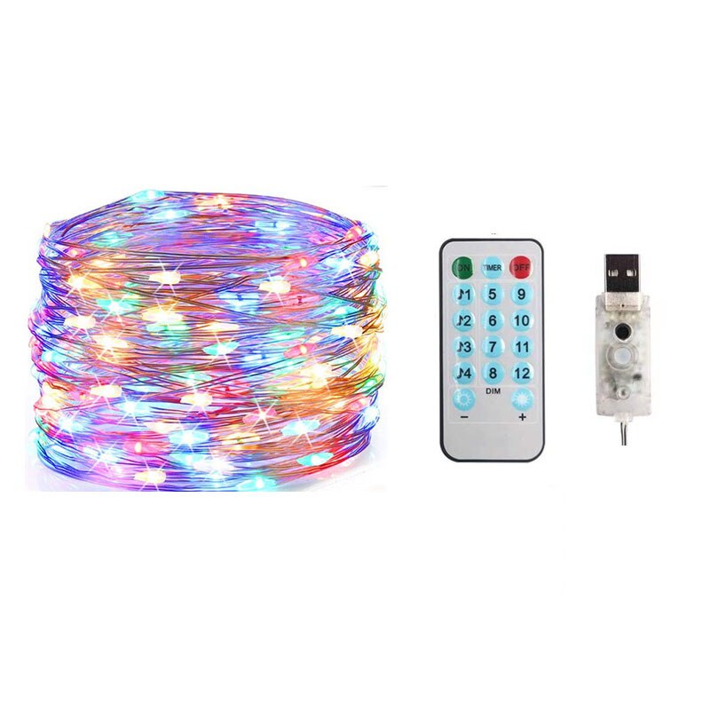 100 Leds Lights Music Rhythm USB Copper Wire Light Strings IP65 Waterproof IR Remote Control Party Decor Led strip: RGB 10M