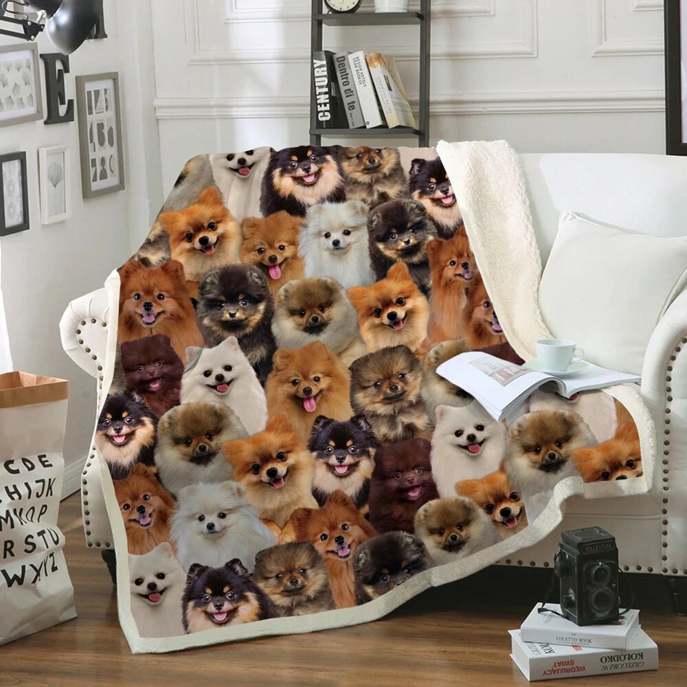 3D koc będziesz miał bukiet chihuahua zima arktyczny aksamit pościel/Sofa dla dorosłych/dziecko DIY wykonane: 3 / 70x100 cm