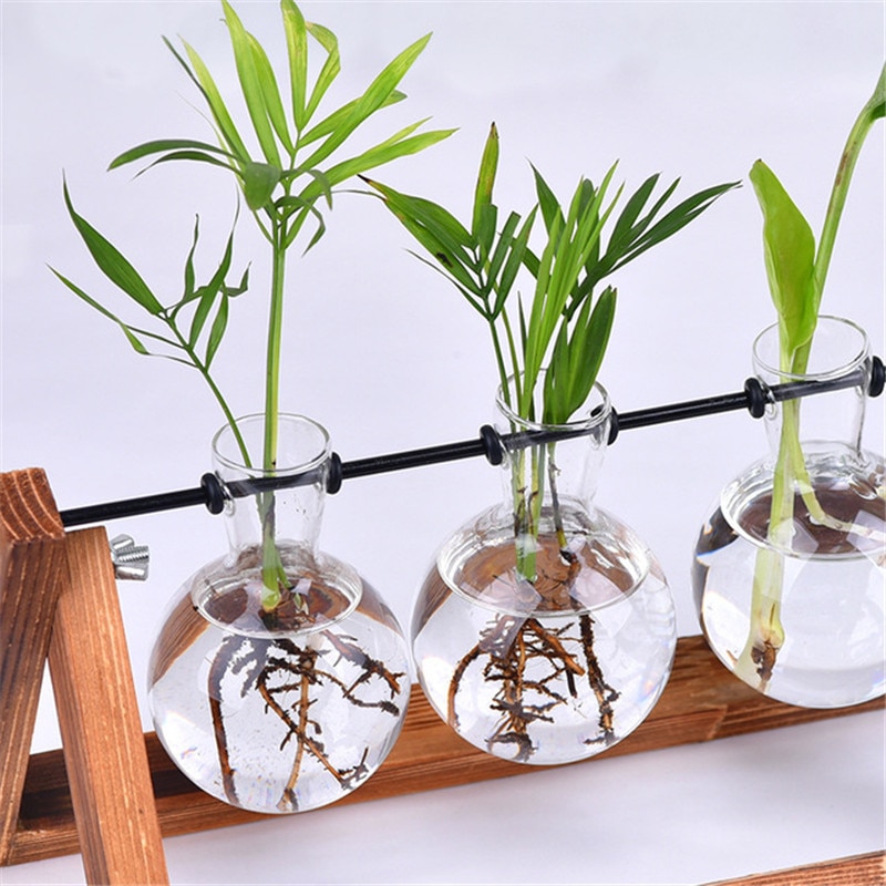 Glass Vase Flowers Planter Terrarium Hydroponic Container Pot Home Decoration 90431