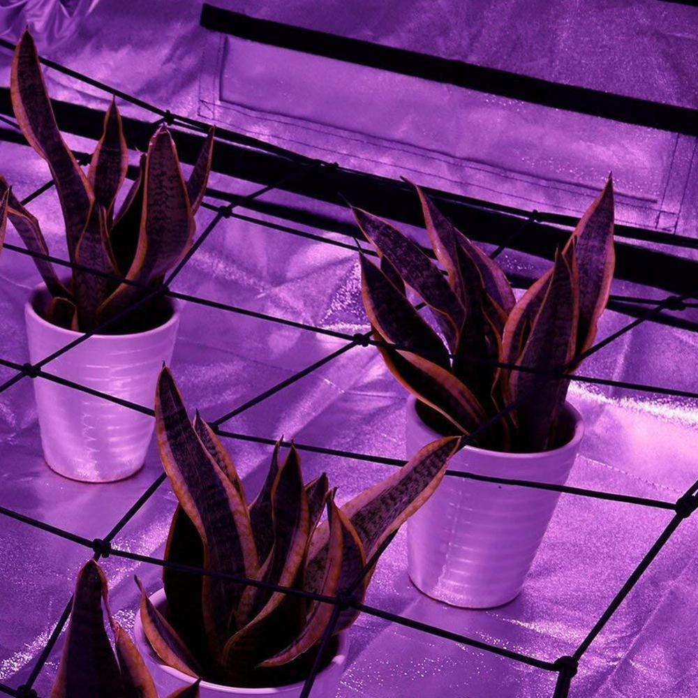 80*80cm Elastic Rubber Growing Tent Garden Trellis Net Support for Vegetable Climbing Vine Plants Garden Flower Plant Netting