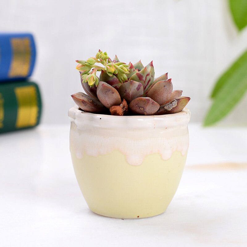 Huisdecoratie miniatuur model bloempotten glazuur asymmetrie bloemenvaas bureaudecoratie ornamenten beeldjes keramische pot