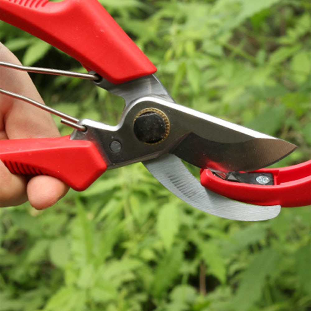 Handheld Multi-Sharpener for Pruning Shears Hand Pruners Gardening scissor