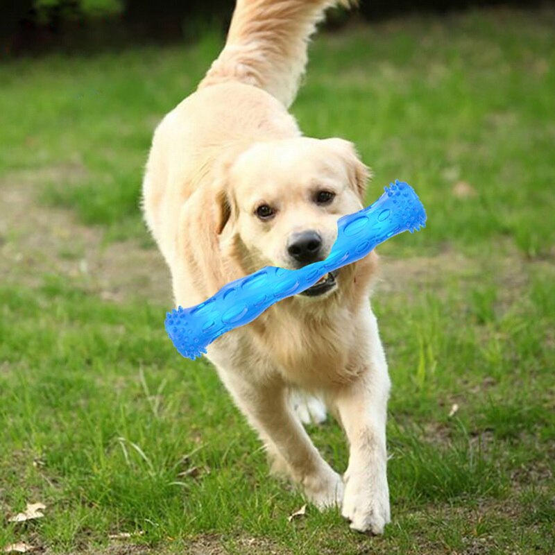 3 Kleuren Staaf Speelgoed Veilig Tpr Hond Kauwen Speelgoed Hond Speelgoed Niet-giftige Food Lekkende Gebitsreiniging Producten hond Speelgoed Benodigdheden