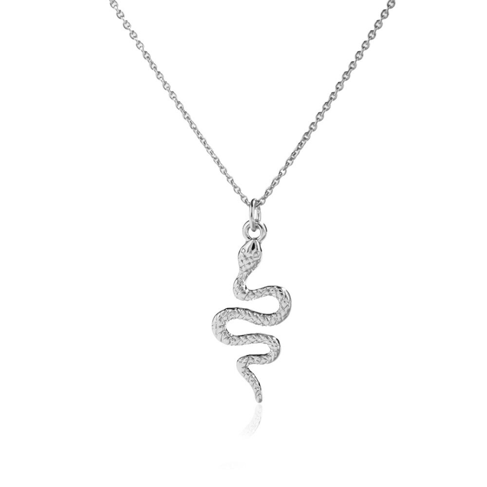 Snake Ketting Vrouwen Kraag Ketting Vintage Trend Animal Snake Hanger Ketting Voor Vrouwen Meisjes Choker Mode-sieraden: Snake Silver