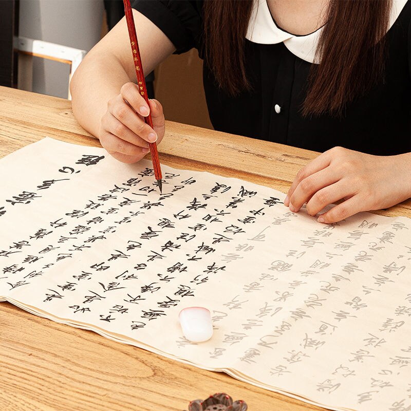 Zhao Mengfu Calligraphy Copybook Chinese Brush Calligraphie Copybook Beginner Chinese Calligraphy Practice Xuan Paper Copybooks