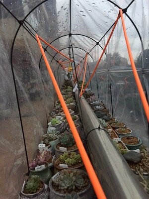 Carbon Fiber Heating Wire Greenhouse Temperature Controll Underfloor Heating Cable 15m 6k 33 Ohm