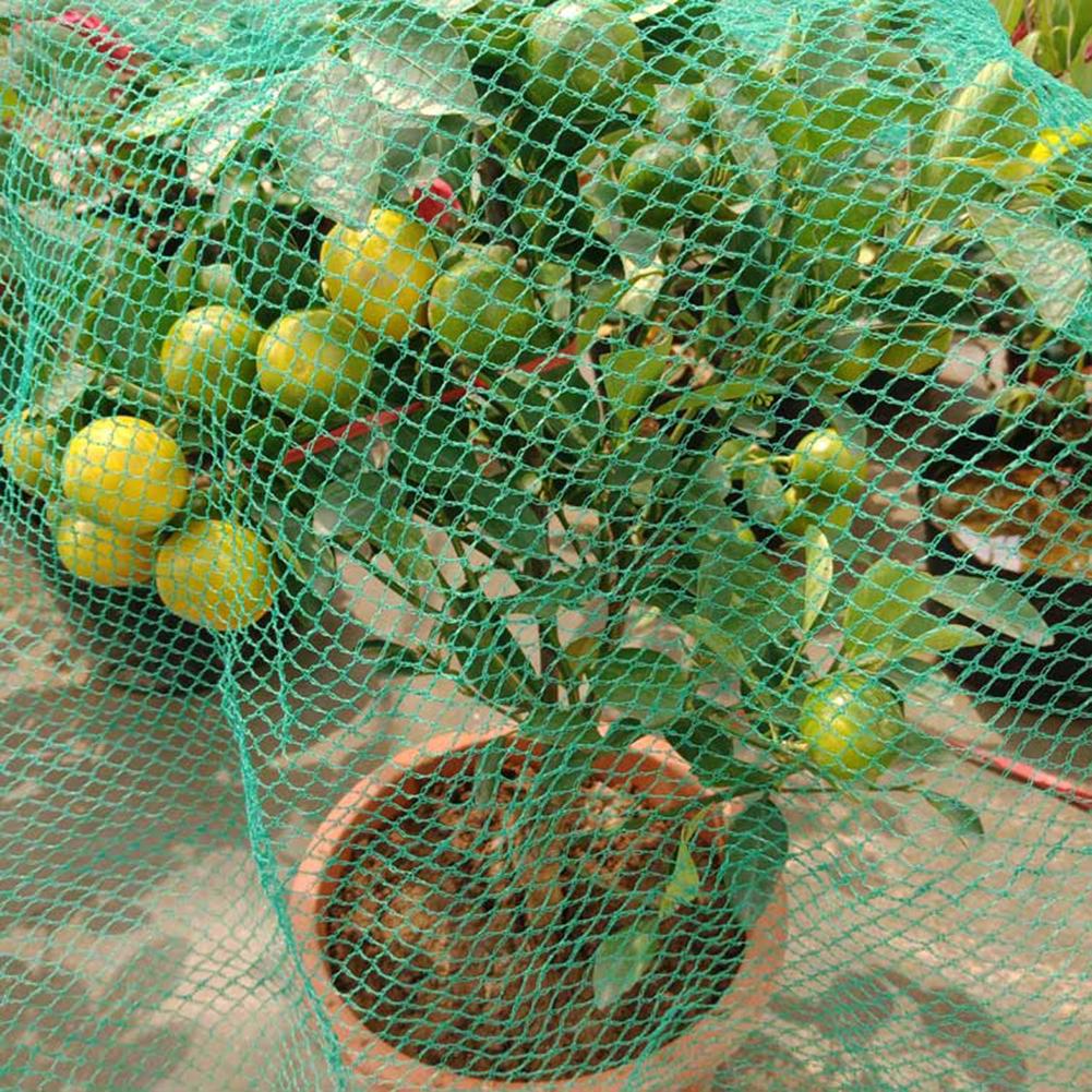 Red de Protección de árboles frutales reutilizable, Red de aves de polietileno, cercado de red de jardín reutilizable para frutas, protección de vegetales
