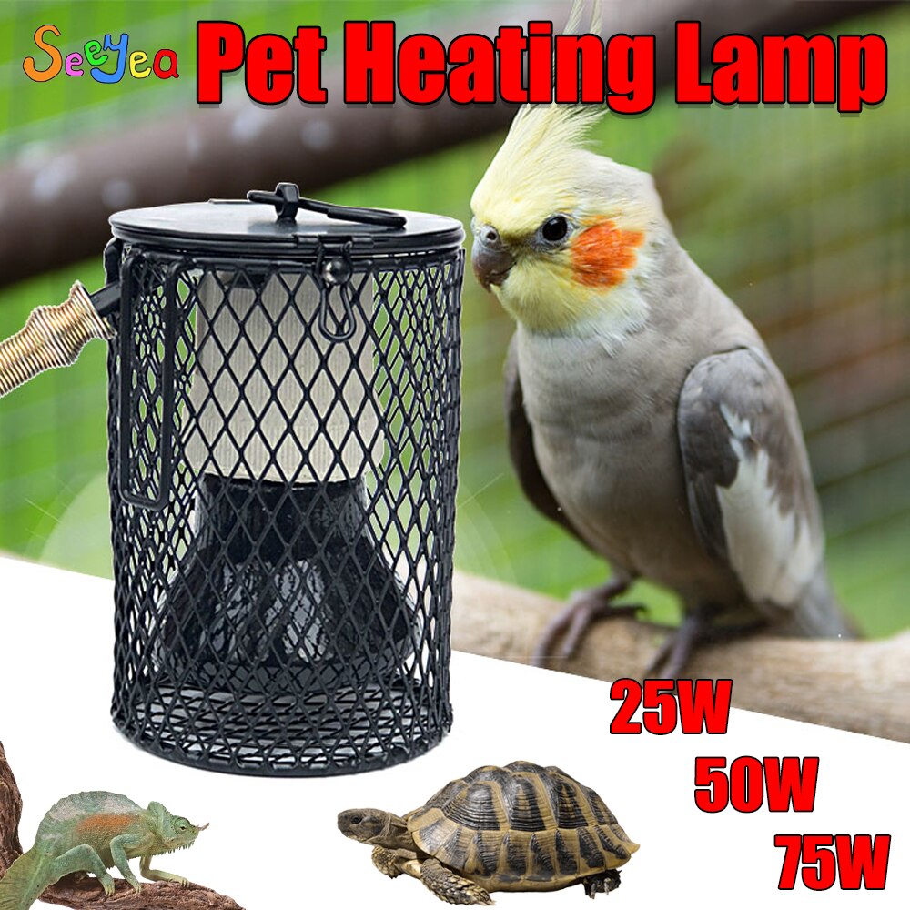 animale domestico mantenere caldo lampada riscaldante luce a infrarossi in ceramica con gabbia di sicurezza emettitore lampada di calore tartaruga serpente lucertola riscaldatore forniture per animali domestici