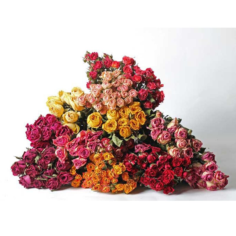Mori serie tørrede roser buket ægte blomster naturlige tørrede litterære boligdekorationer blomster skyde baggrund blomster gør det selv hjem