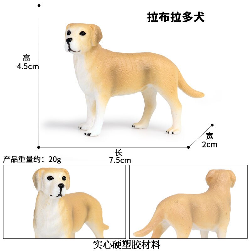 Simulation Ebene Haustier Hund Modell Nette Retriever Schnauzer Aktion-figuren Sammlung Erkenntnis Pädagogisches Spielzeug für freundlicher: M-1369