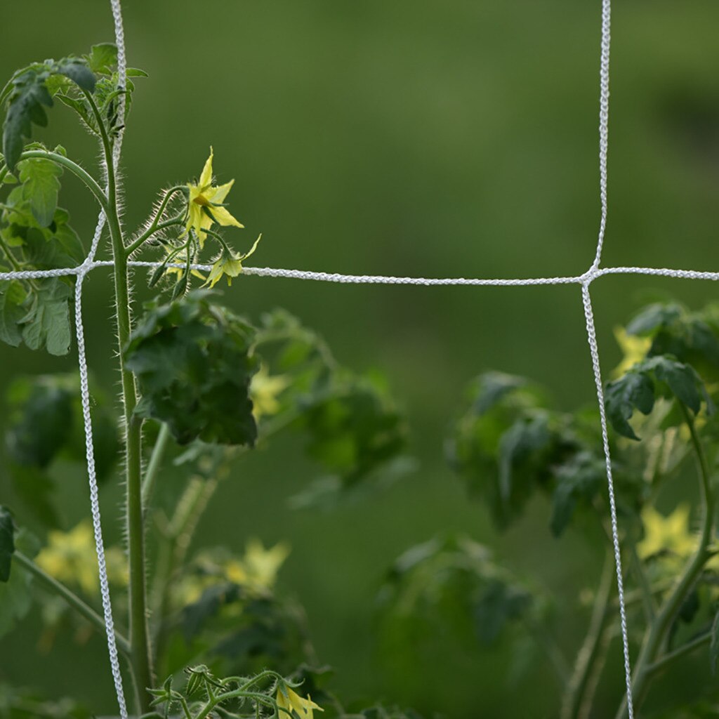 nylon netting hage klatreplante nett gjerde grønn støtte blomster hageplanter klatrenett agurk vinrank vokse holder: 5 x 30ft
