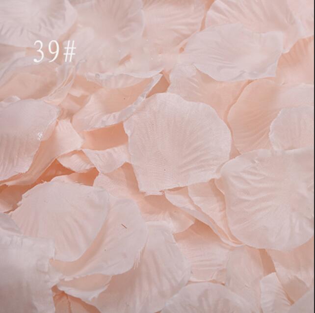 Champagne rosenblade 1000 stk/parti bryllup tilbehør fest hjemmepynt polyester kunstige blomster kronblade de rose  sr01: Champagne