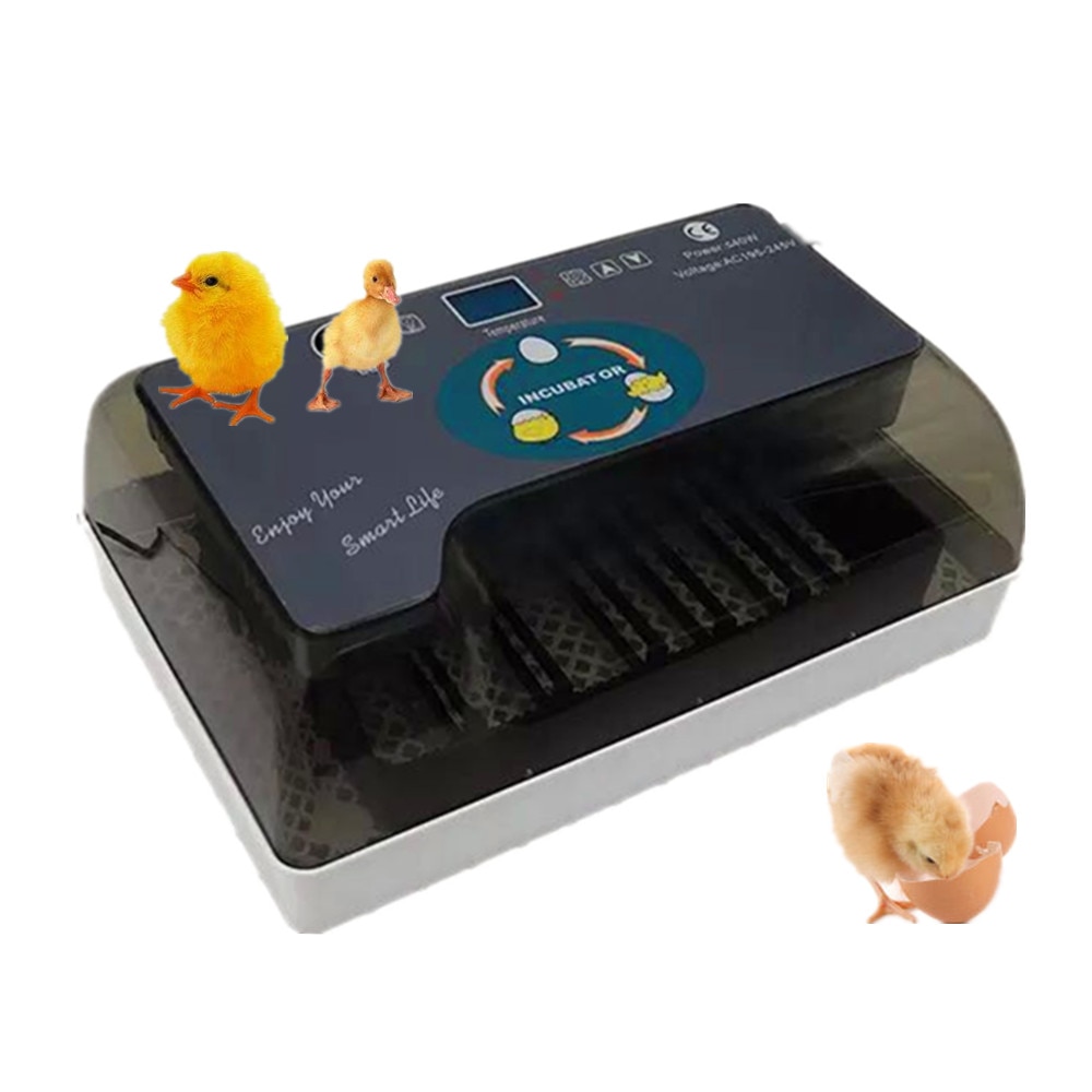 quail incubator