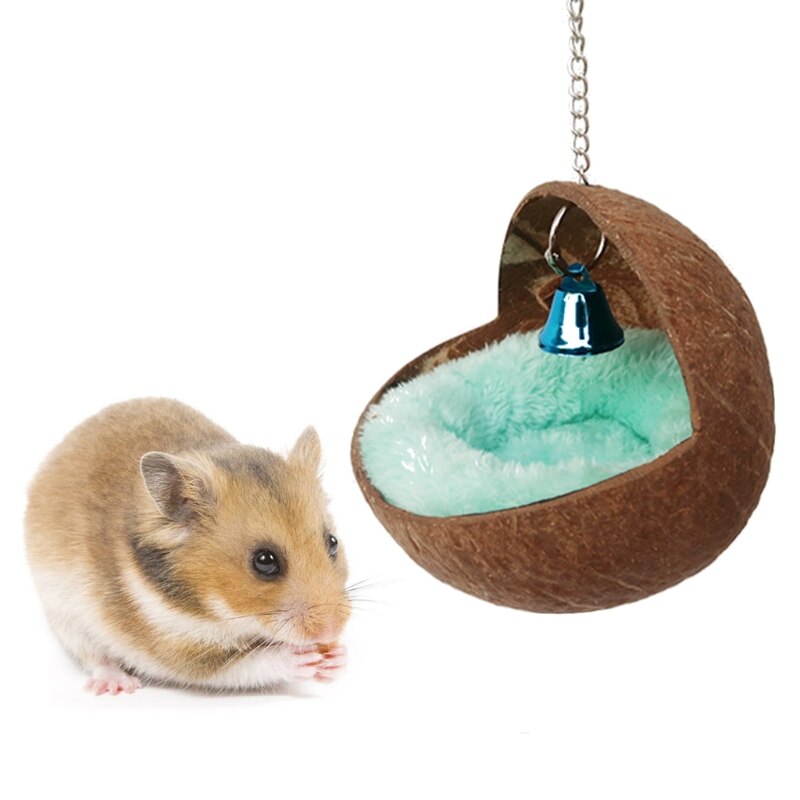 Nido cáscara de coco para mascotas, casa de Hamster, ardilla holandesa, cama para dormir