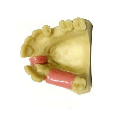 1PCS Dental Mandibular Demonstration Oral Model Implant Practice Maxillary Sinus Teaching Model Soft Gum Training Teeth model: E