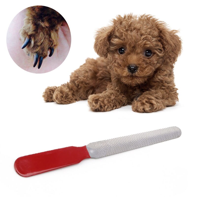 Dog Stainless Steel Nail Toe Manicure File Pet Grooming Tool P9YB