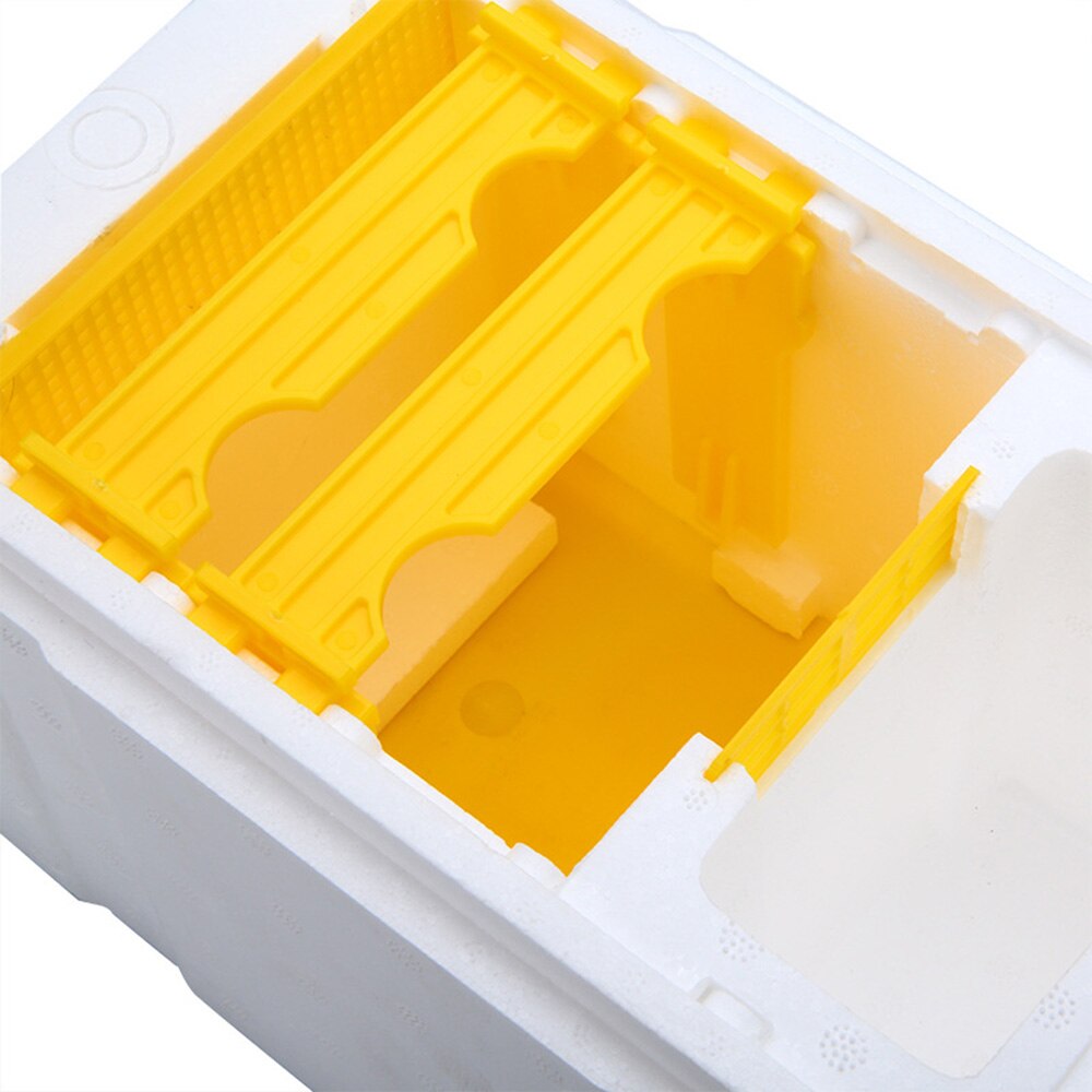 Bee Hive Beekeeping King Box Pollination Box Foam Frames Beekeeping Tool Kit Bee Beekeeping Catcher Box Apicultura